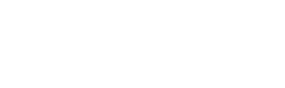 techinfuser logo white